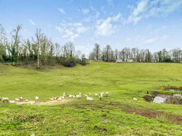 Surrounding area | Stable Cottage - Hole Farm, Alderbury, near Salisbury