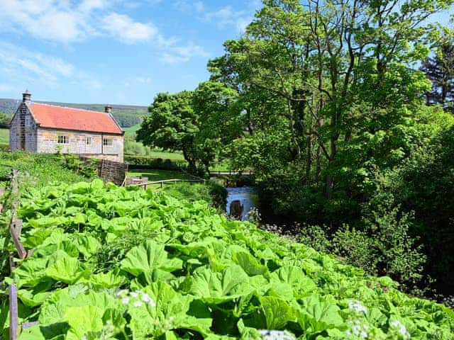 Surrounding area | The Dreamer&rsquo;s Hut, Hawnby