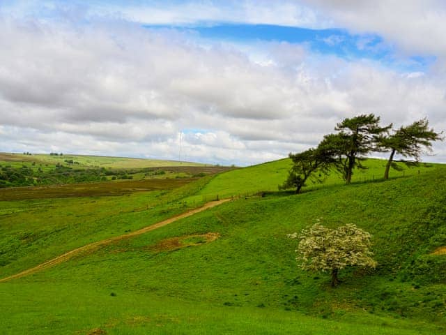 Surrounding area | The Dreamer&rsquo;s Hut, Hawnby