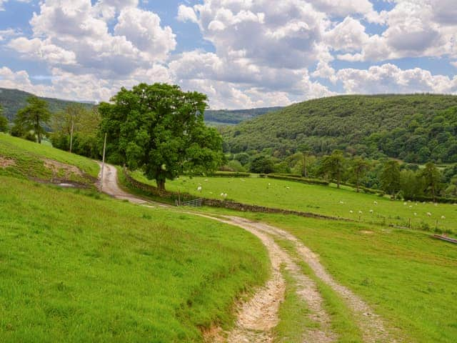 Surrounding area | The Dreamer&rsquo;s Hut, Hawnby