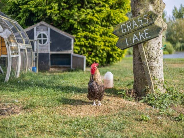 Surrounding area | Wren - Alvingham Fishing Lakes, Louth