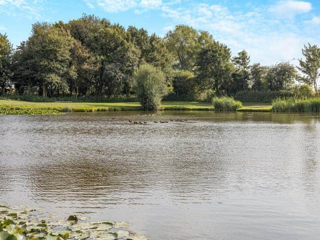 Surrounding area | Kingfisher - Alvingham Fishing Lakes, Louth