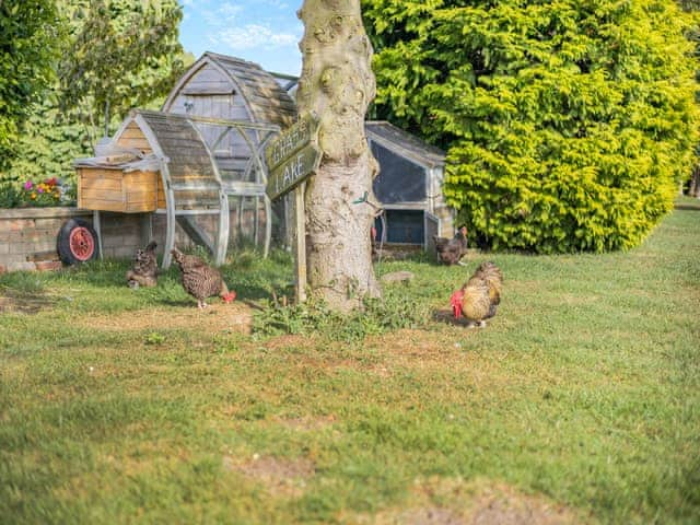 Surrounding area | Buzzard - Alvingham Fishing Lakes, Louth