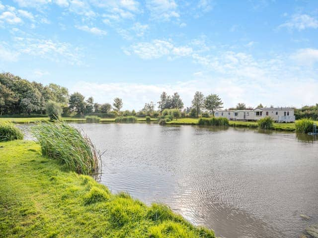 Surrounding area | Buzzard - Alvingham Fishing Lakes, Louth