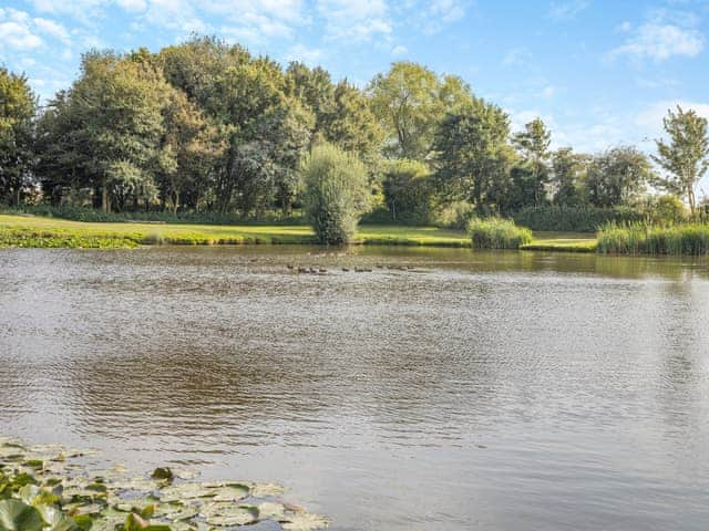 Surrounding area | Buzzard - Alvingham Fishing Lakes, Louth