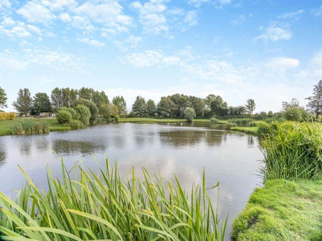 Surrounding area | Buzzard - Alvingham Fishing Lakes, Louth