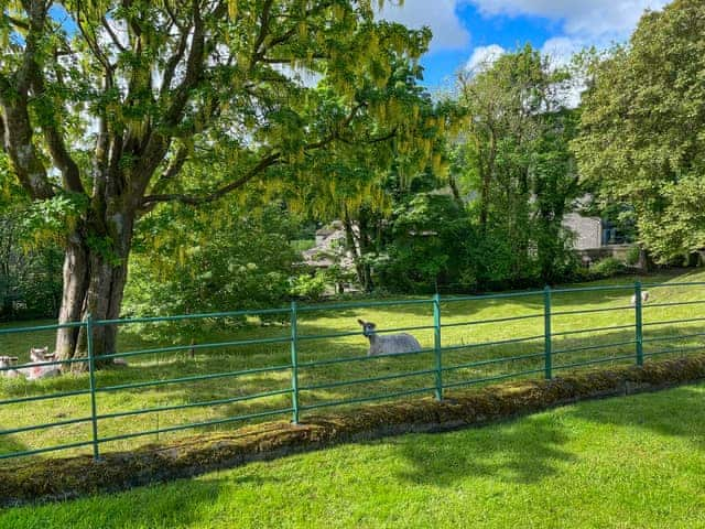 Surrounding area | The Old School, Kettlewell