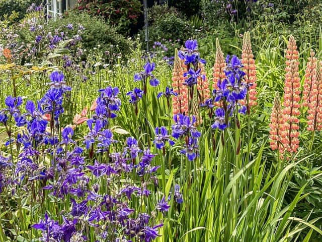 Garden and grounds | The Cottage, Richards Castle, near Ludlow