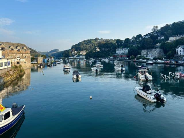 Surrounding area | Seagull Cottage, Looe