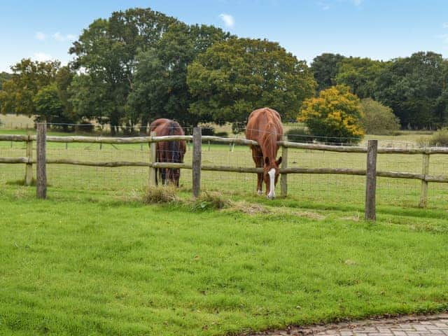 View | Hornbrook Dairy, Ashford