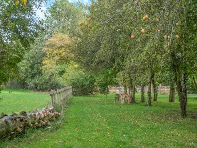 Outdoor area | Copper Beech - Woodland Cottages, Halstead