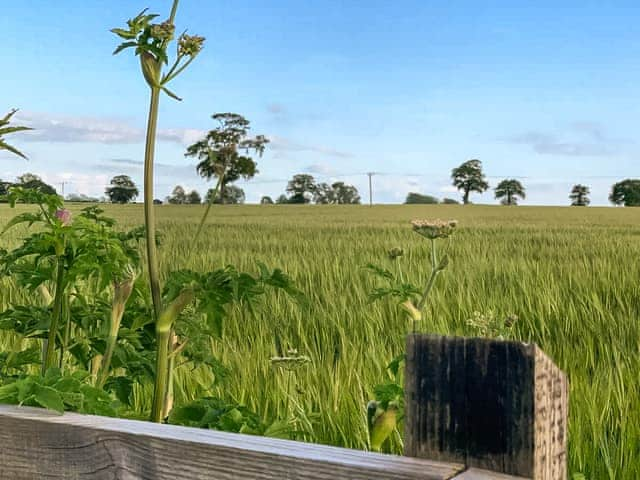 View | Bee Roundhouse - The Roundhouses, South Walsham