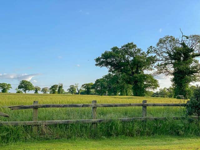 View | Butterfly Roundhouse - The Roundhouses, South Walsham