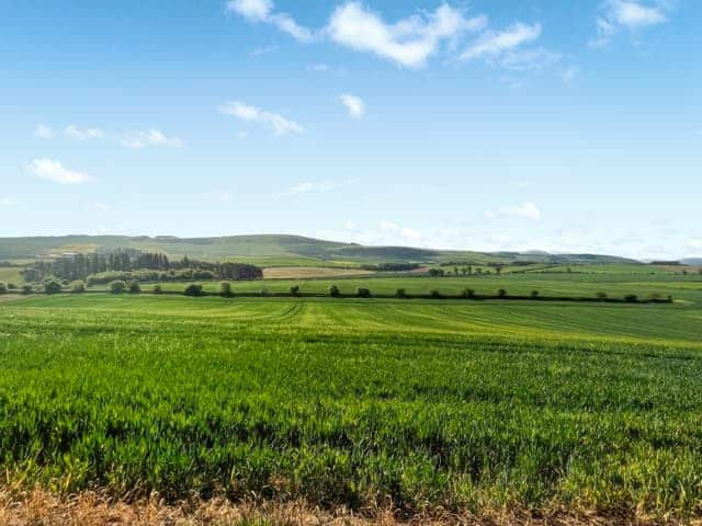 View | Stewards Cottage - East Learmouth Farmstays, Berwick-upon-Tweed