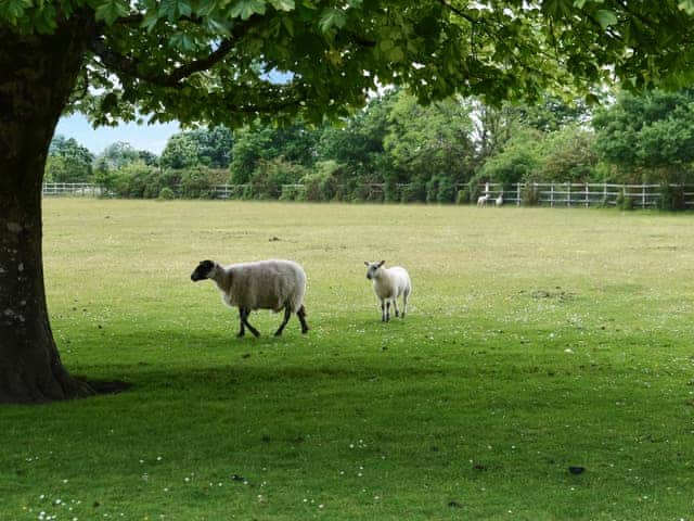 Surrounding area | The Granary, Tavistock