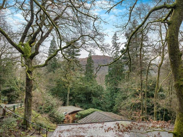 Surrounding area | Seathwaite Tarn, Ambleside