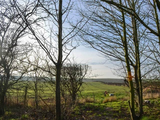 Surrounding area | Beech - Graffitoe Farm Holidays, Hunmanby