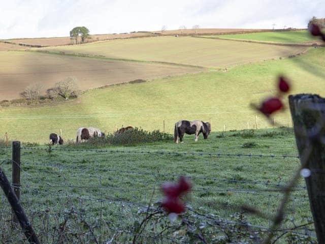 Surrounding area | Hayloft - Summercourt Cottages, Looe