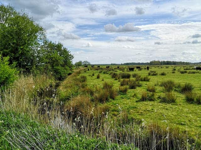 Surrounding area | Elm Barn Lodge - Elm Barn, Freethorpe