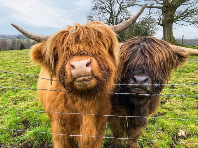 Neighbours | Whitehill Barn - Whitehill Farm, Walton, near Brampton