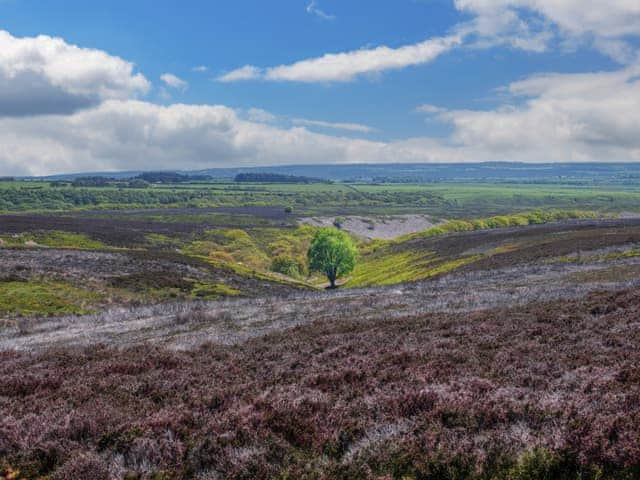 North Yorkshire Moors National Park