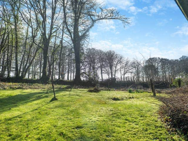 Garden and grounds | Lukesland Farm Cottage, Harford, Dartmoor National Park