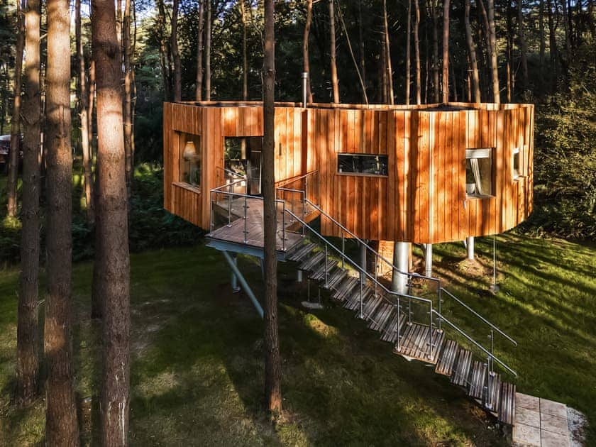 Exterior | Camellia - TreeDwellers Treehouses, Chipping Norton