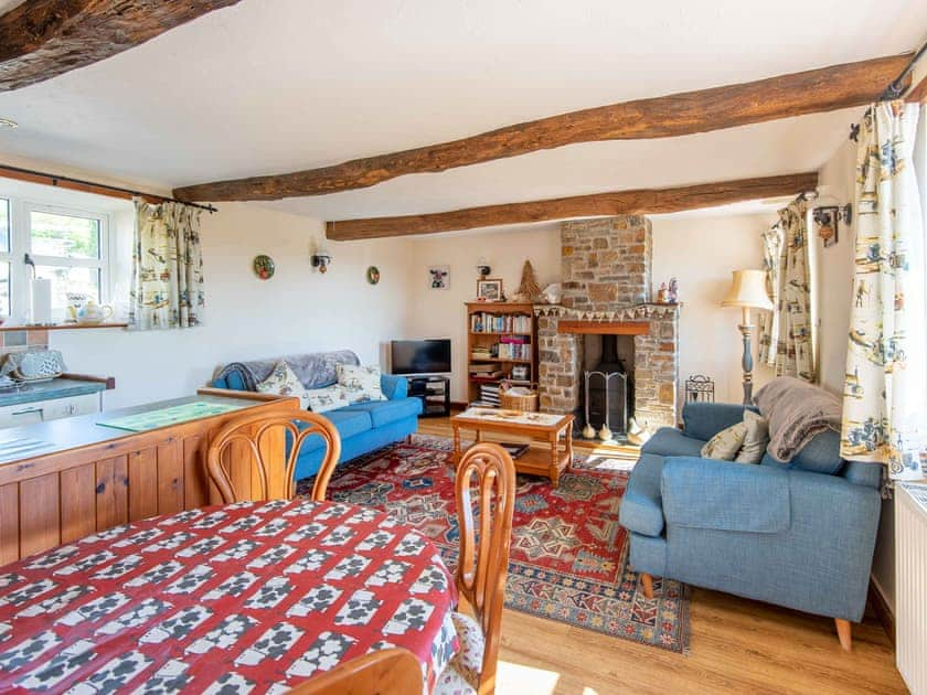 Living area | The Old Shippen - Frankaborough Farm Cottages, Lifton