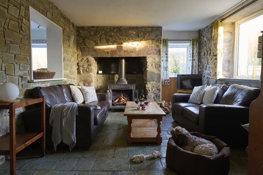 Living area | Golan - Bach Wen Cottages, Clynnog Fawr