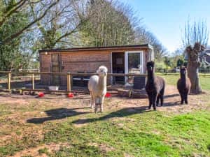 Exterior | Alpaca Lodge, Bartington, near Northwich