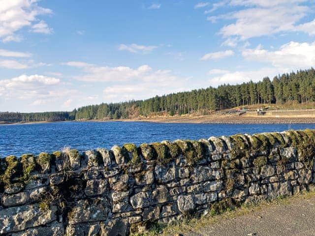 Surrounding area | Night Sky Cottage, Kielder