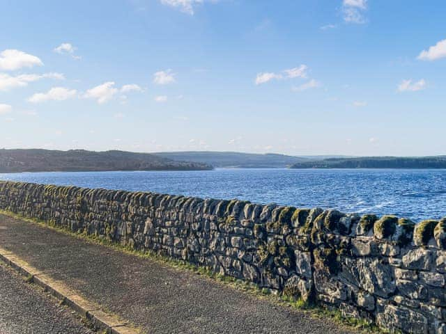 Surrounding area | Night Sky Cottage, Kielder