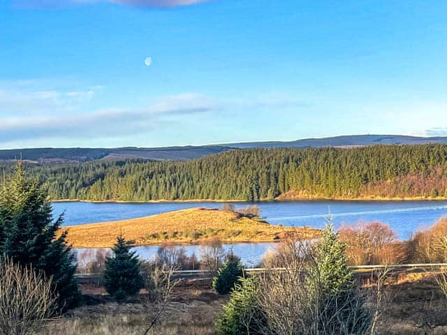 Surrounding area | Night Sky Cottage, Kielder