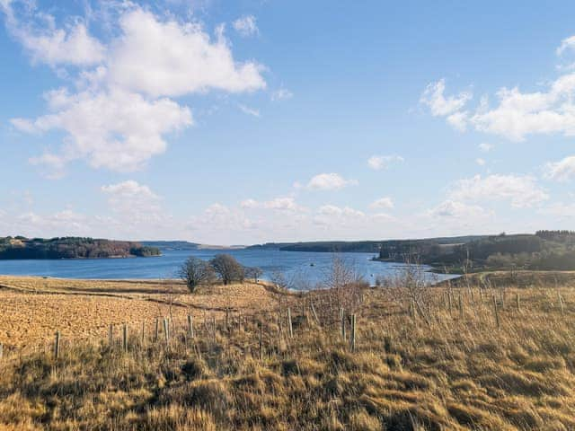 Surrounding area | Night Sky Cottage, Kielder