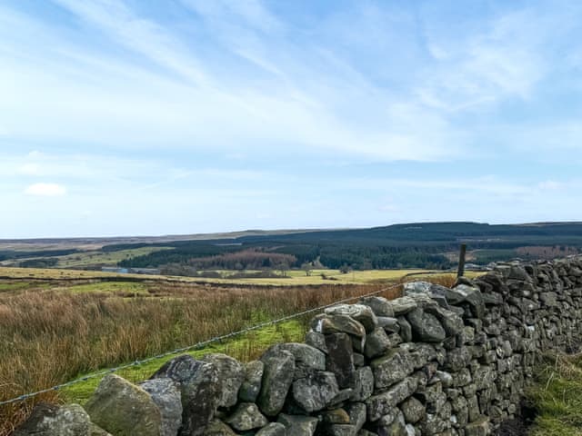 View | 4 Swallowholm Cottage, Arkengarthdale, near Reeth