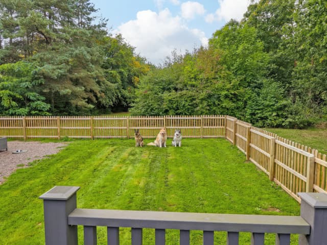 Garden | Paws in the Pines, Frithville, near Lincolnshire