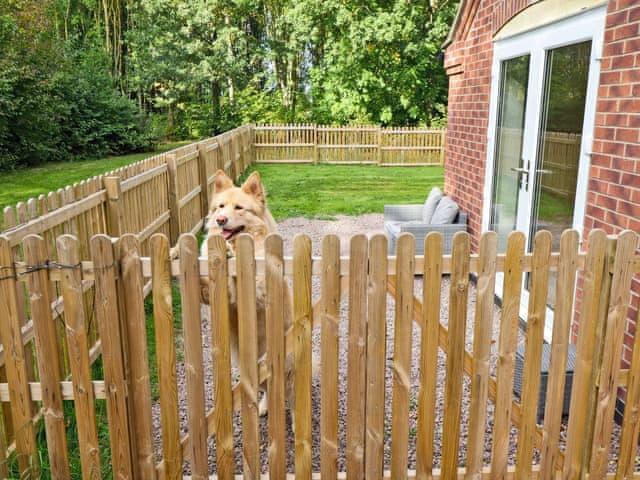 Exterior | Paws in the Pines, Frithville, near Lincolnshire