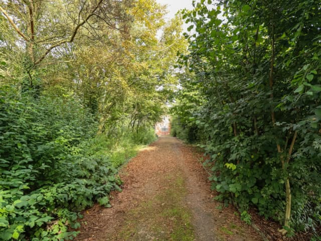 Surrounding area | Paws in the Pines, Frithville, near Lincolnshire