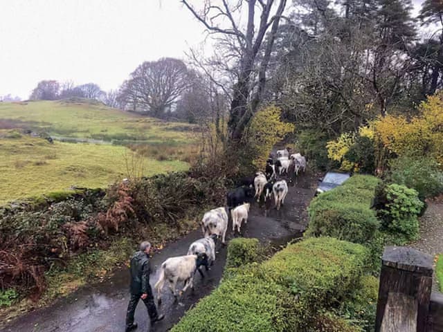 View | The Studio at Lickbarrow Lodge, Windermere