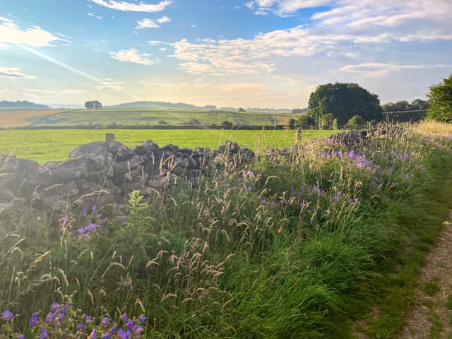 Fields directly behind the cottage | Paddock Cottage, Monyash, near Bakewell