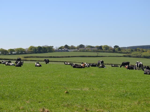 Surrounding area | Bullfinch Apartment - Moorhead Country Holidays, Woolfardisworthy, Clovelly