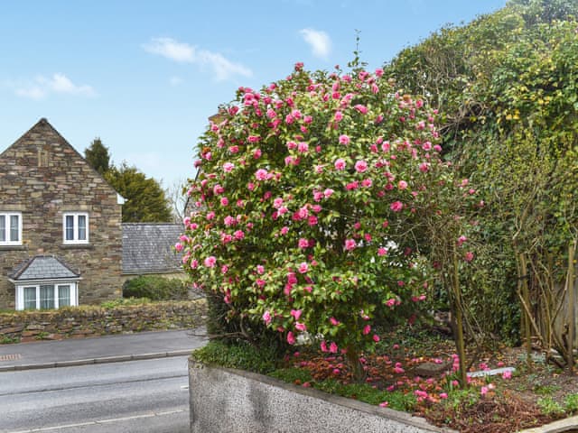 View | Beechcroft, Callington