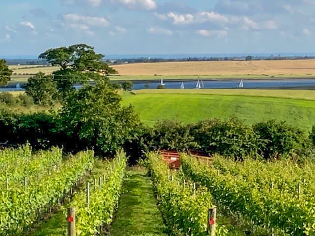 Surrounding area | Holly No.2 - Hall Farm Cottages - Hall Farm Cottages, Althorne, near Chelmsford