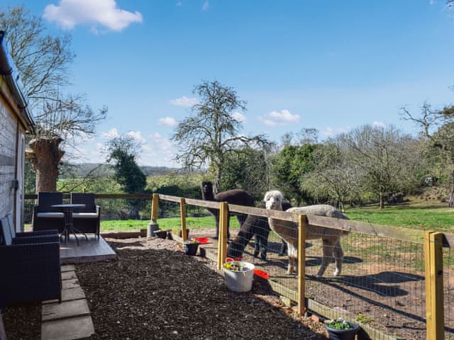 Outdoor | Alpaca Lodge, Bartington, near Northwich