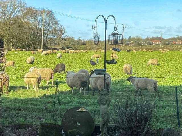 Surrounding area | The Stables, Knutsford