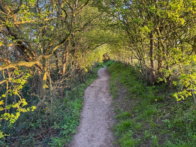 Beautiful coastal walks just metres from the property leading all the way to Lytham St Annes | High Mill House, Freckleton