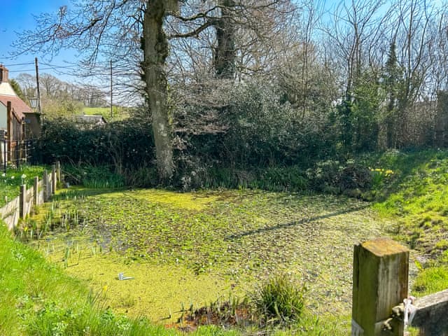 Surrounding area | The Stables, Sturminster Newton, near Sherbourne