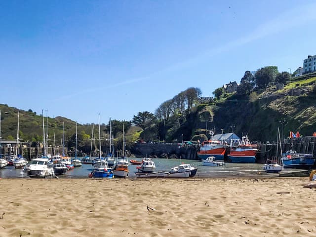 Surrounding area | Crumpet Cottage, Ilfracombe