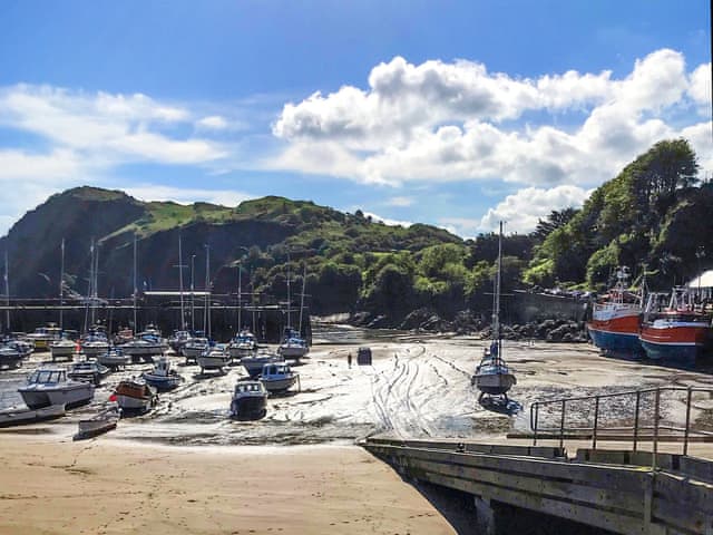 Surrounding area | Crumpet Cottage, Ilfracombe