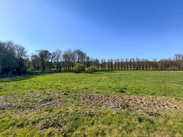 View | Lincoln Reds Lookout, South Ormsby